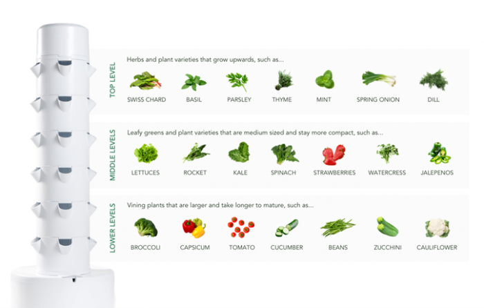 Classica Hydroponic Grow Tower – Food Grade HDPP - Image 4